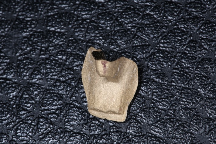 Alan Tamashiro #12 casting