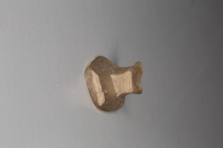 Brandon Yokota casting