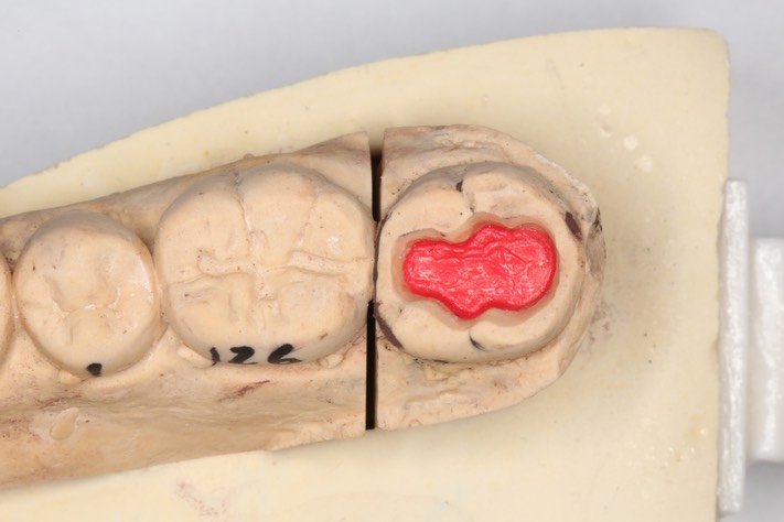 Stephanie Wong model