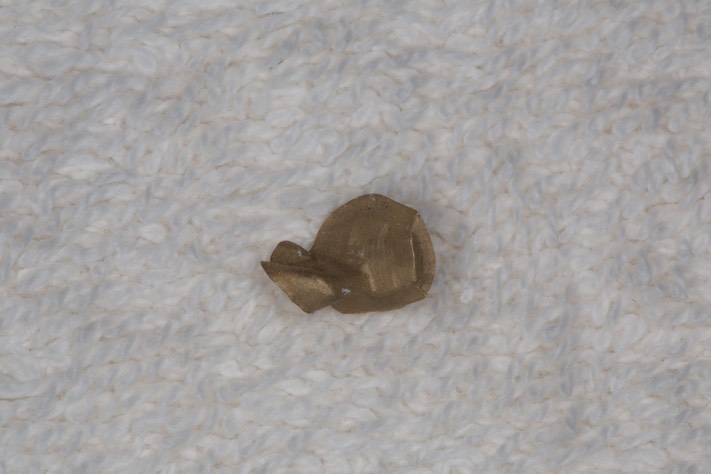 Roland Ylarde #21 casting