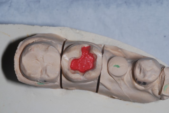 Charlie Sugiyama #19 model