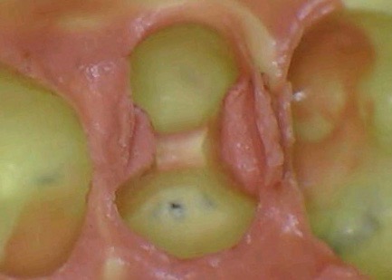 Mendel Sato #12 impression